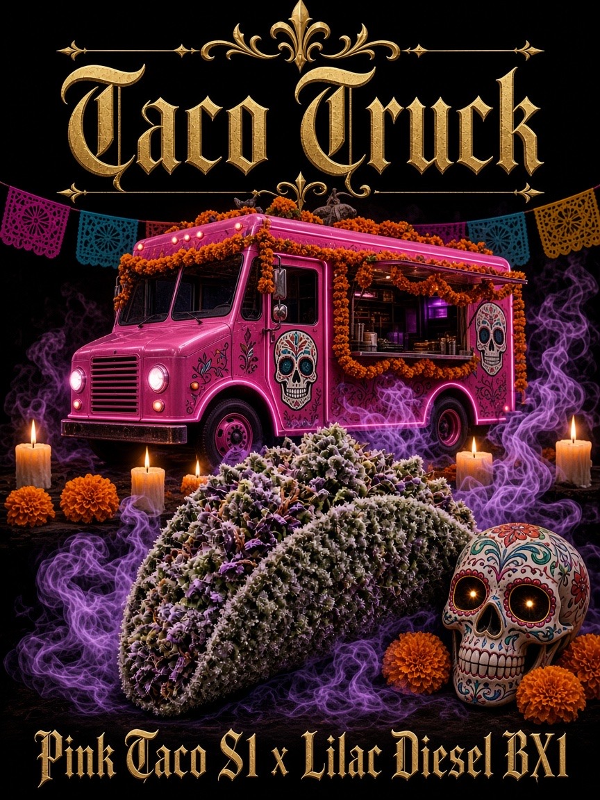 Taco Truck pack artwork