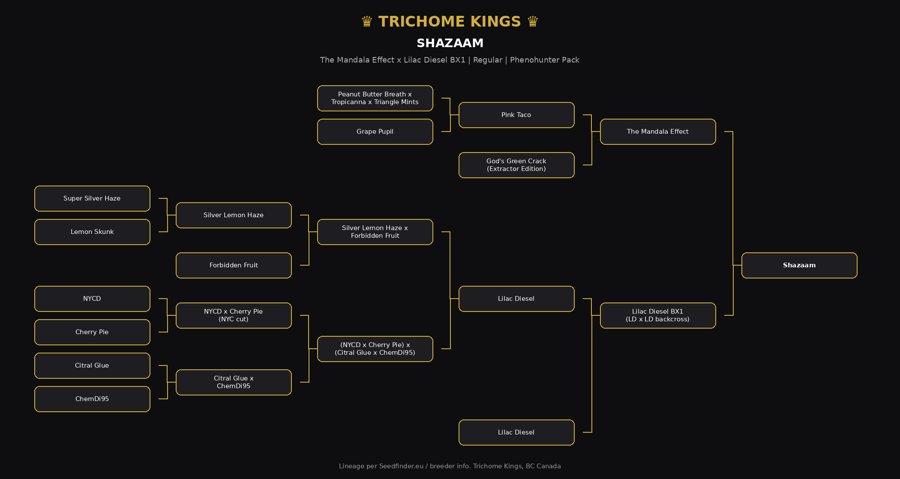 Shazaam family tree